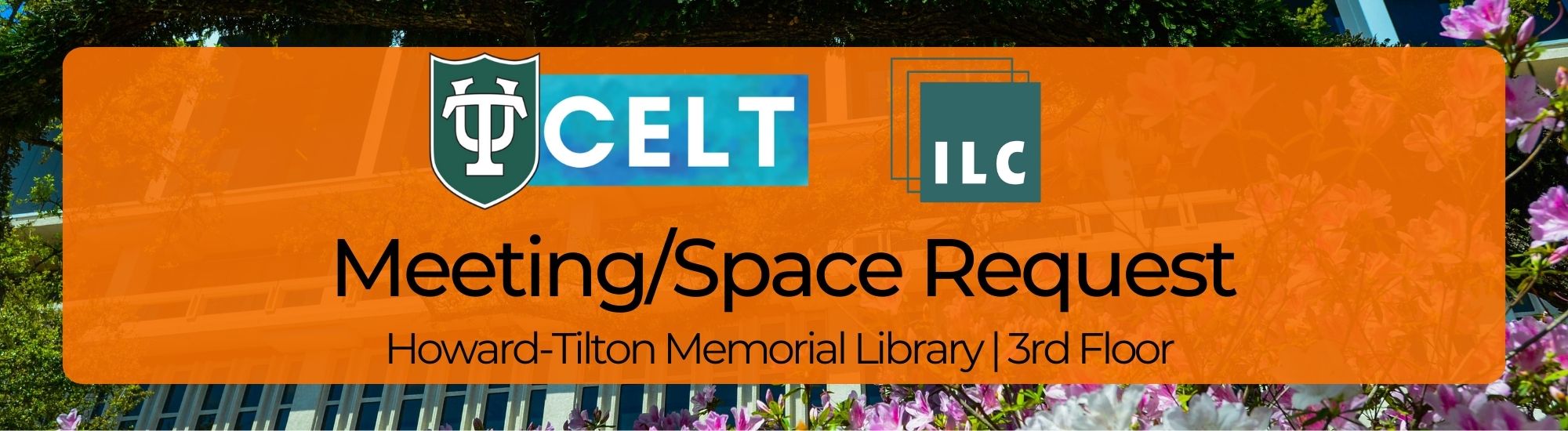 CELT / ILC Space Request