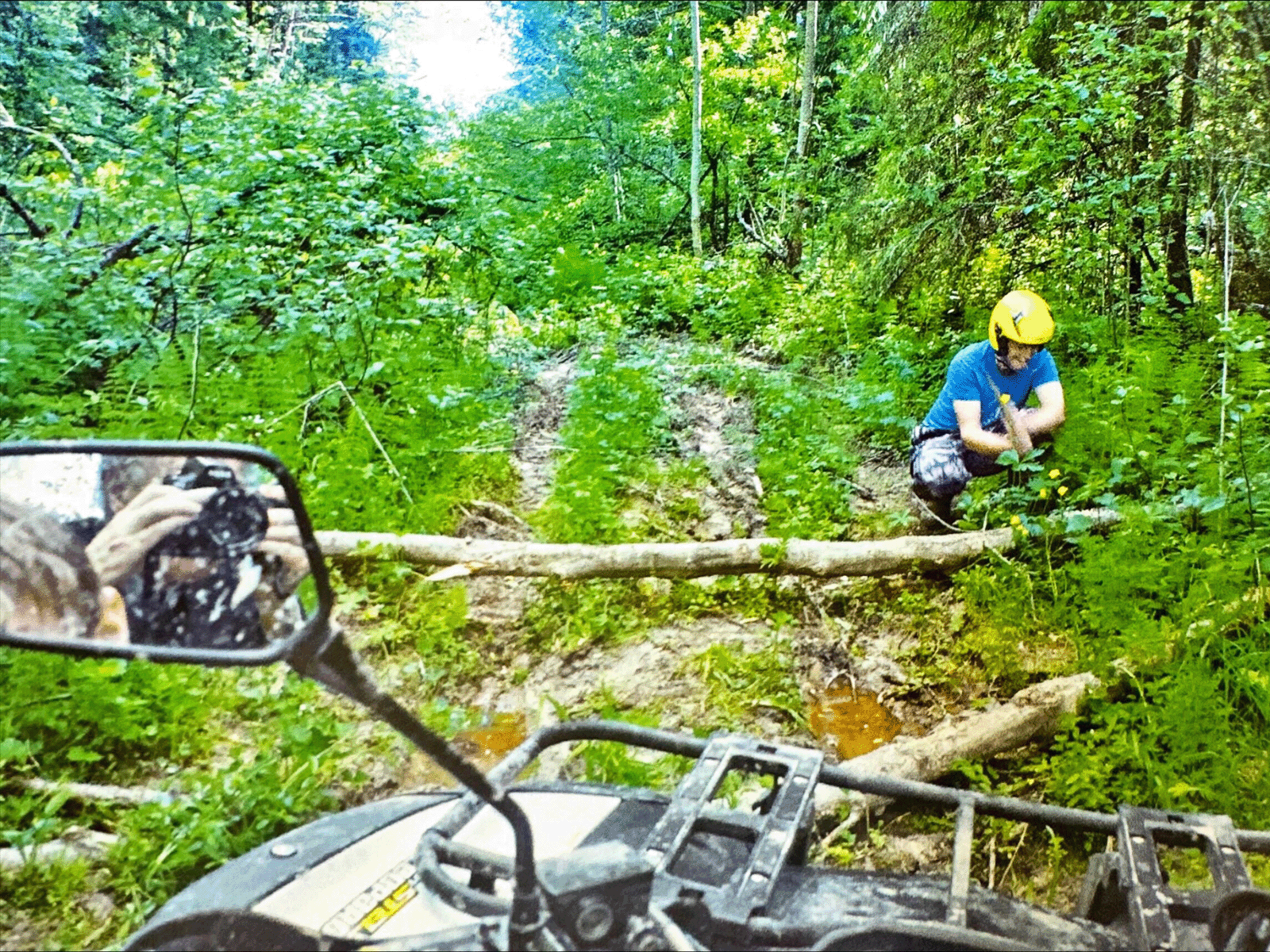 Near Pogorelovo (Kostroma Providence). Clearing a forest track for quadricycle. Author with camera in mirror. May 31, 2016. Near Pogorelovo (Kostroma Providence). Clearing a forest track for quadricycle. Author with camera in mirror. May 31, 2016.